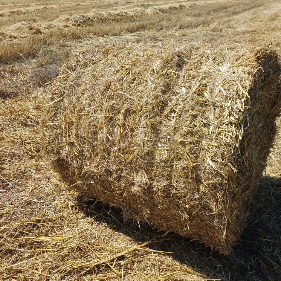 I will sell wheat straw. #1