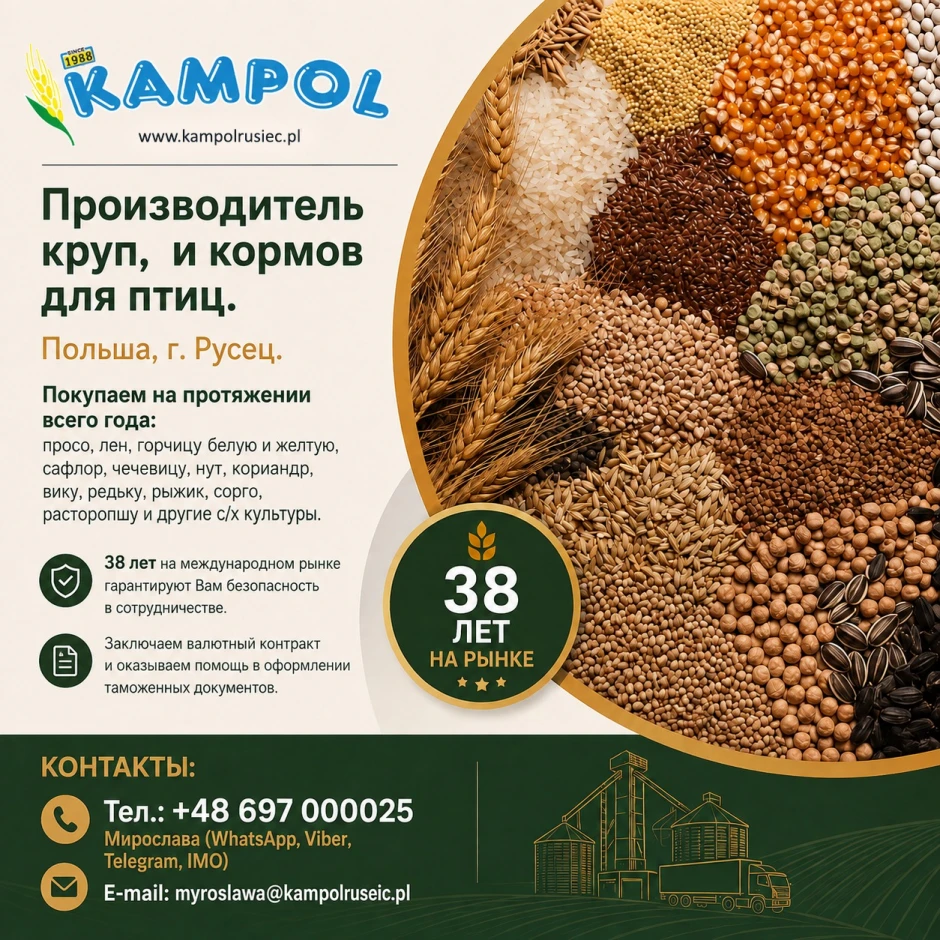 Горчица белая куплю МНОГО - 1 Горчица белая куплю МНОГО #1