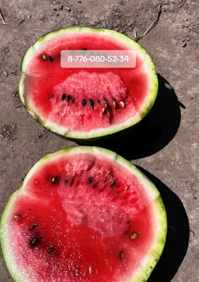 Melon Kolkhoz woman (bokinka). #4
