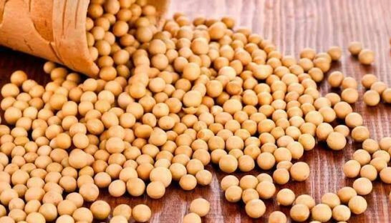 2000 tons of soybeans are required. #2