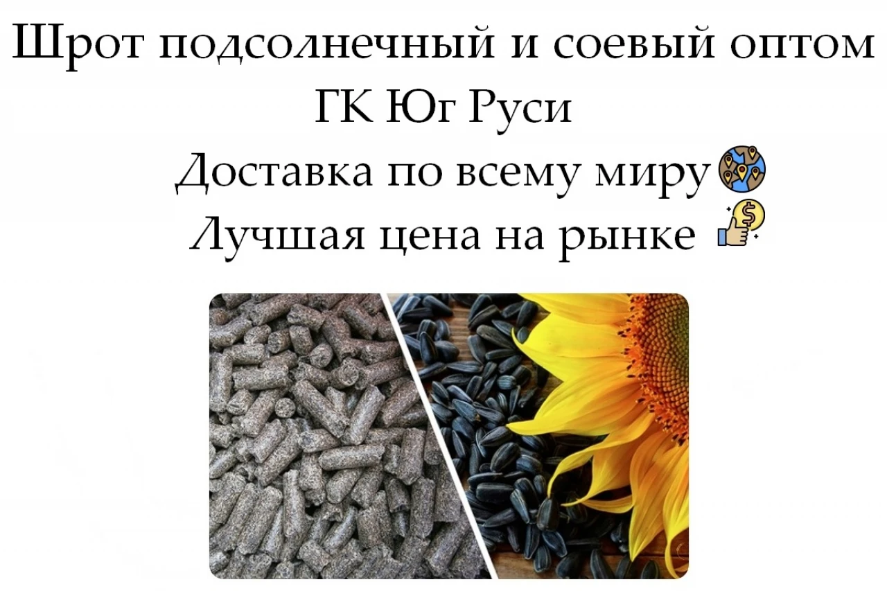 Шрот подсолнечный и соевый оптом от производителя ГК Юг Руси #1
