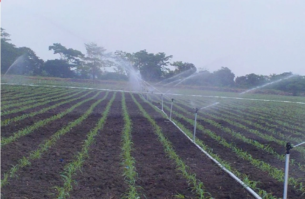Cпринклерная система орошения Raesa Irrigation Systems (Испания) #2
