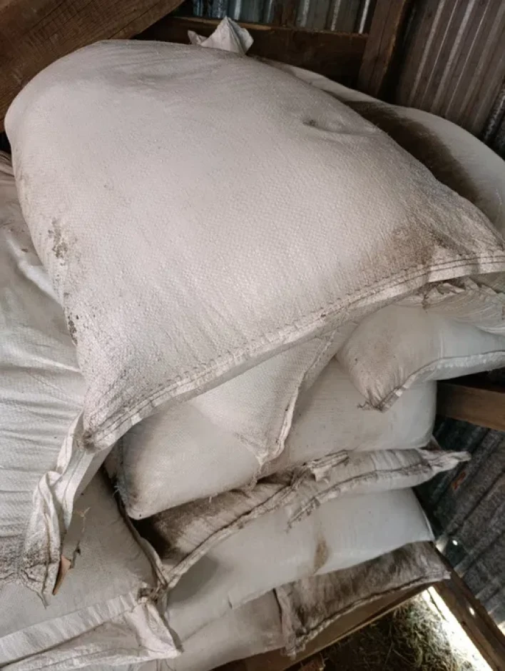 Aksu sugar 50kg Aksu canty. #1
