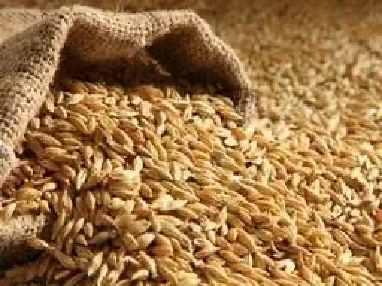 Продам пшеницу в мешках по 50кг. Бесплатная Доставка. #2