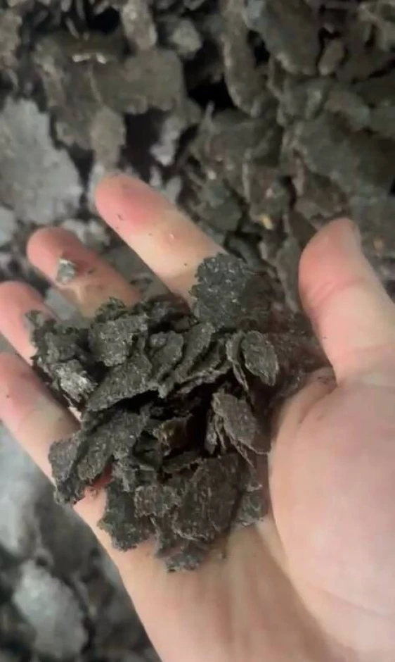 Продажа подсолнечного жмыха, льняной жмых, рапсовый жмых #3