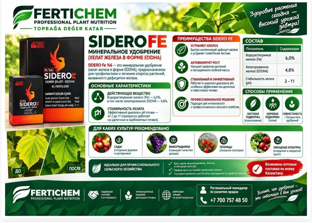 SIDERO FE 6% ЖЕЛЕЗА #1