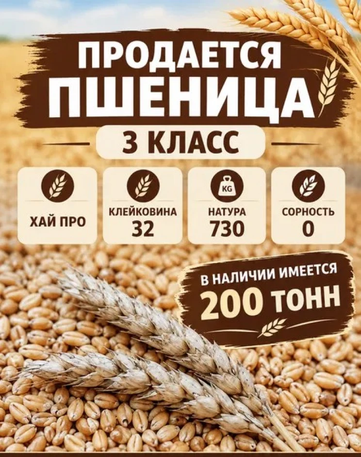 I will sell wheat, grain. #1