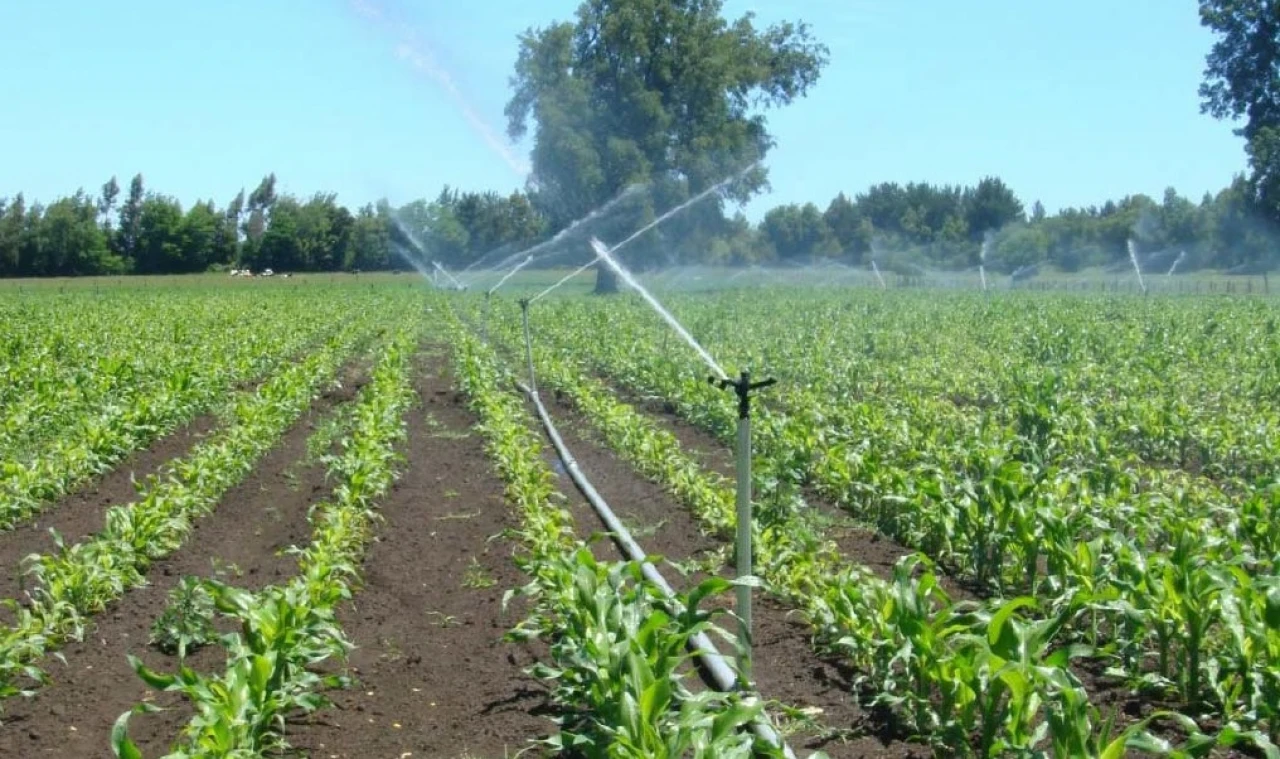 Cпринклерная система орошения Raesa Irrigation Systems (Испания) #1