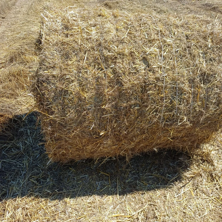 I will sell wheat straw. #3