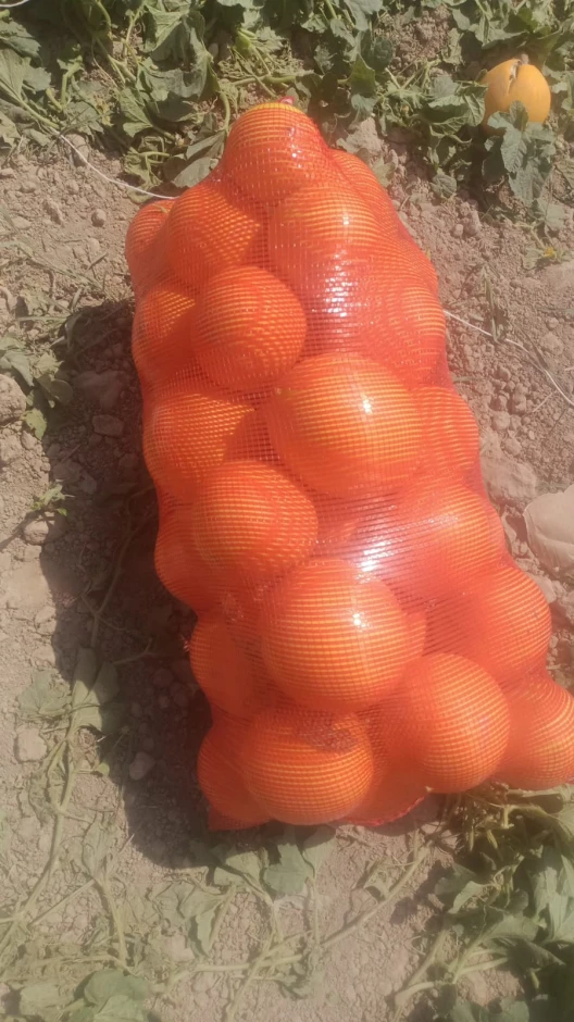Melon Kolkhoz woman (bokinka). #5