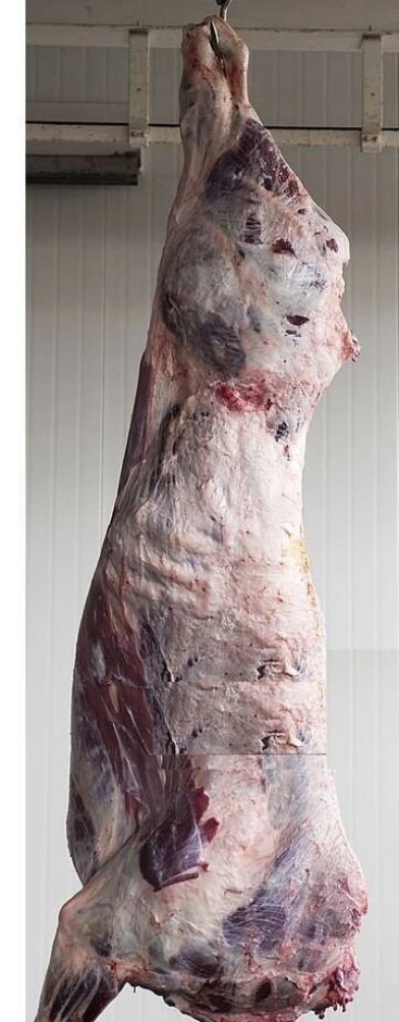 Beef meat, Beef by-products. #1