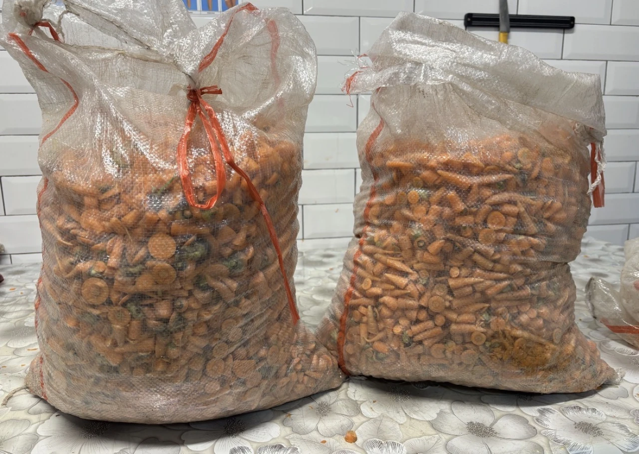 Сортовая морковь #1