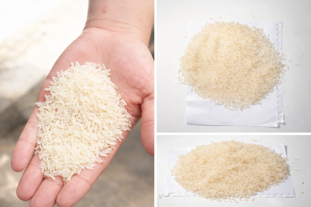 LARGE WHOLESALE: Elite Khorezm rice "Laser" directly from Uzbekistan!. #1