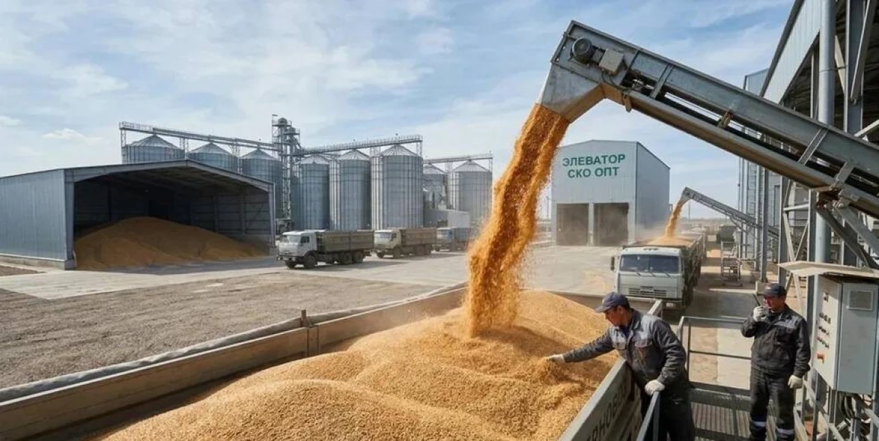 Fodder meal, wheat, barley, flax and other cereals and oilseeds. #2