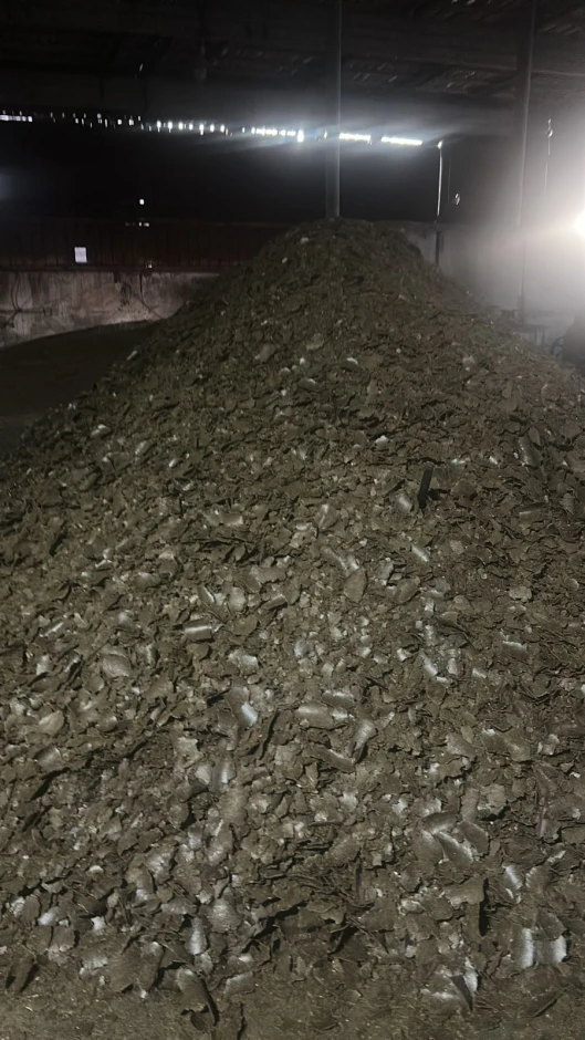 I will sell cake. #1