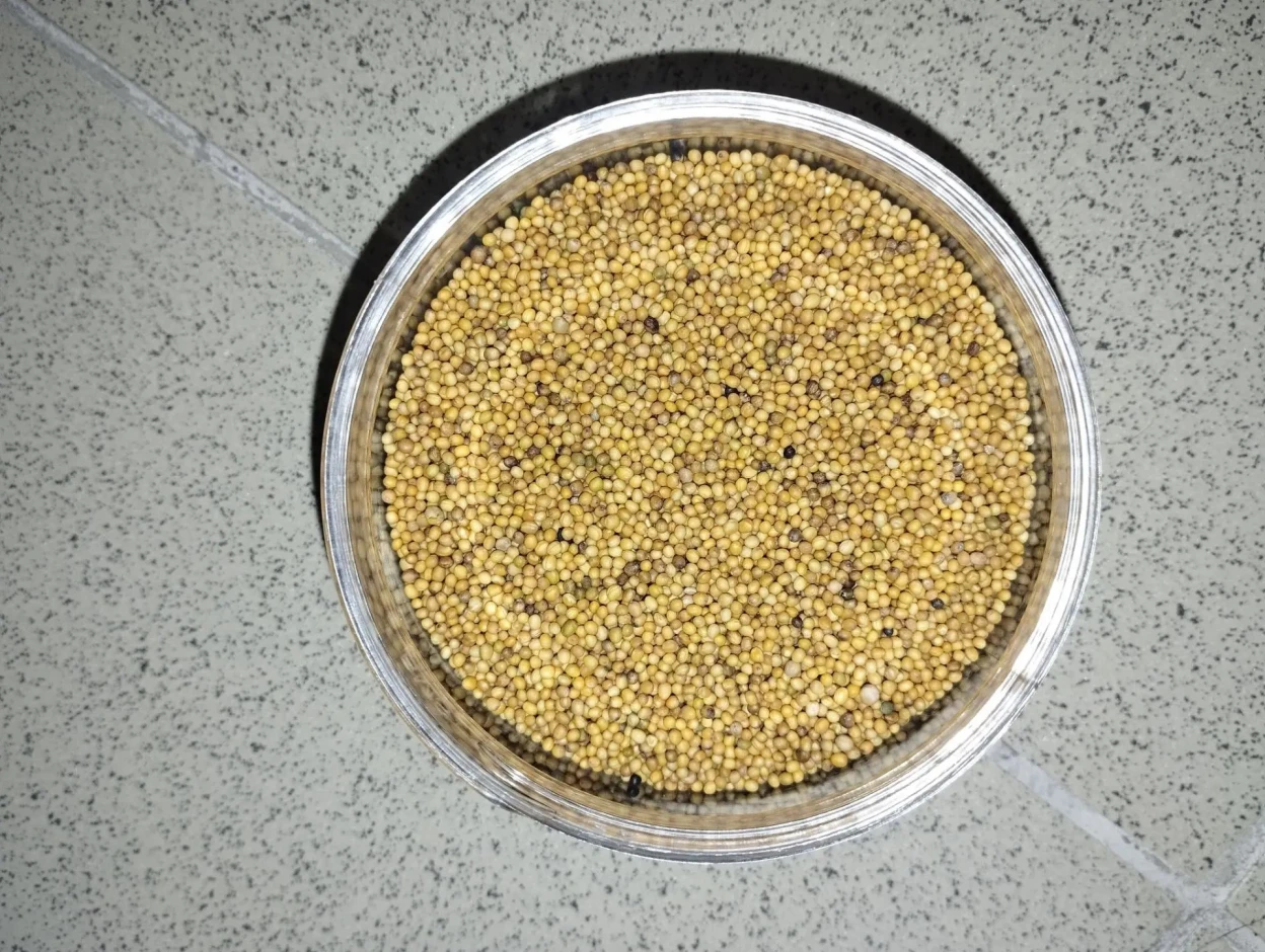 Yellow mustard. #1