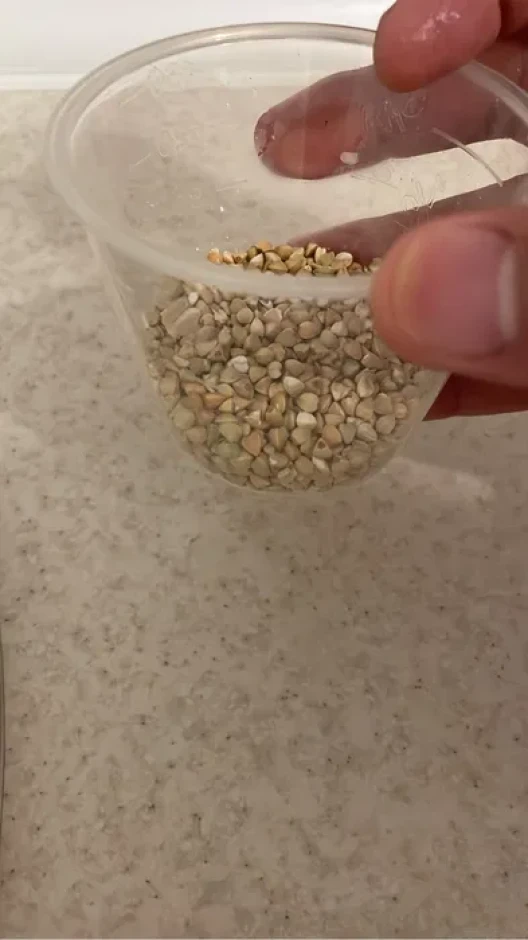 Зелёная гречка — 100% натуральная! #3