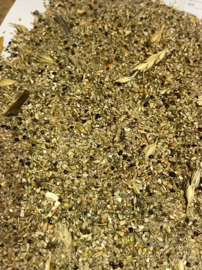 I will sell grain waste. #1