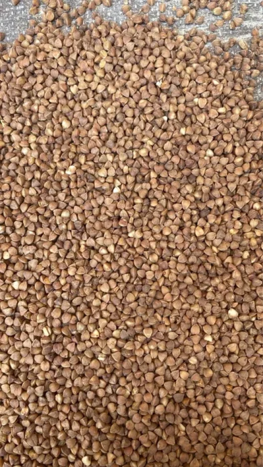 Buckwheat 50 kg and 25 kg. #2