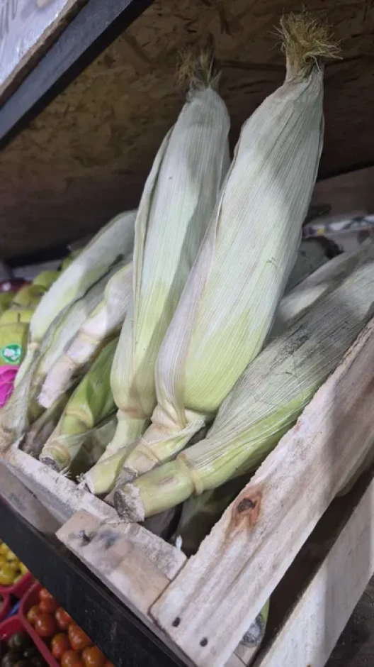 Corn on the cobs. #1