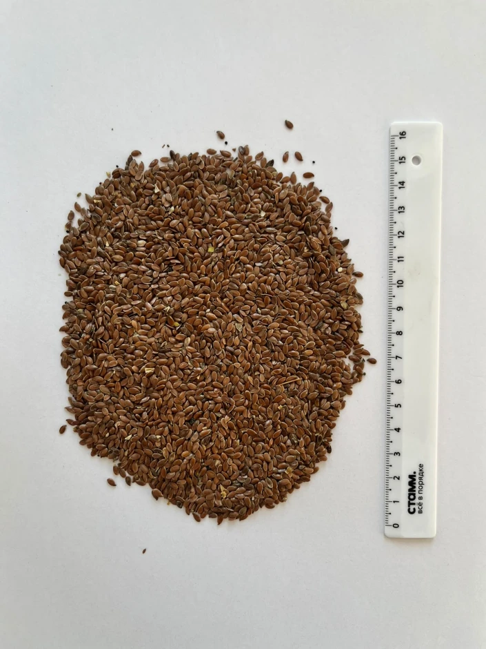 Flaxseed. Flax seeds. - 1 Flaxseed. Flax seeds. #1