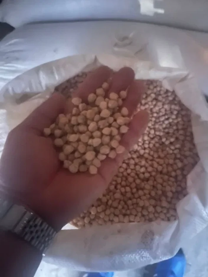 турецкий горох (нут) местный қапталған, таза, сорты гибрид - 1 турецкий горох (нут) местный қапталған, таза, сорты гибрид #1