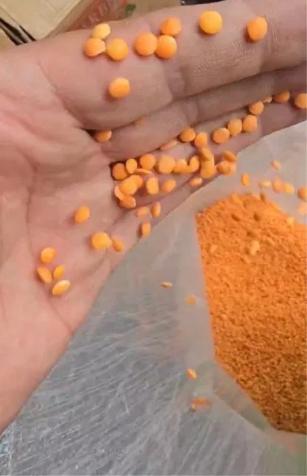 Lentils football red. #1