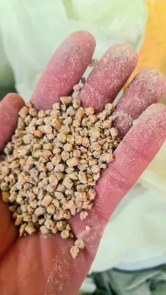 Compound feed #8
