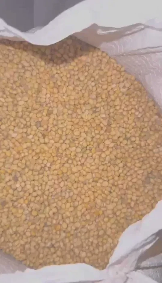 Соя протеин 38 жир19 #1