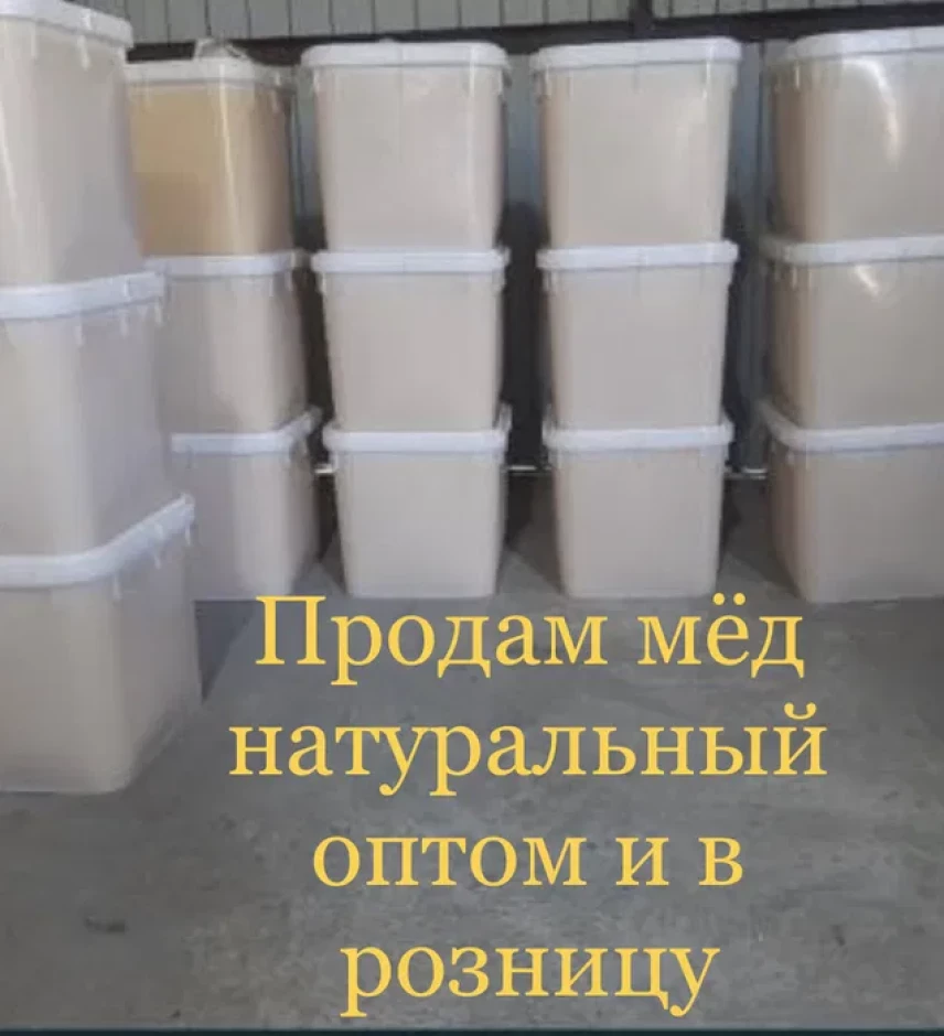 Продаю натуральный мёд оптом и в розницу - 3 Продаю натуральный мёд оптом и в розницу #3