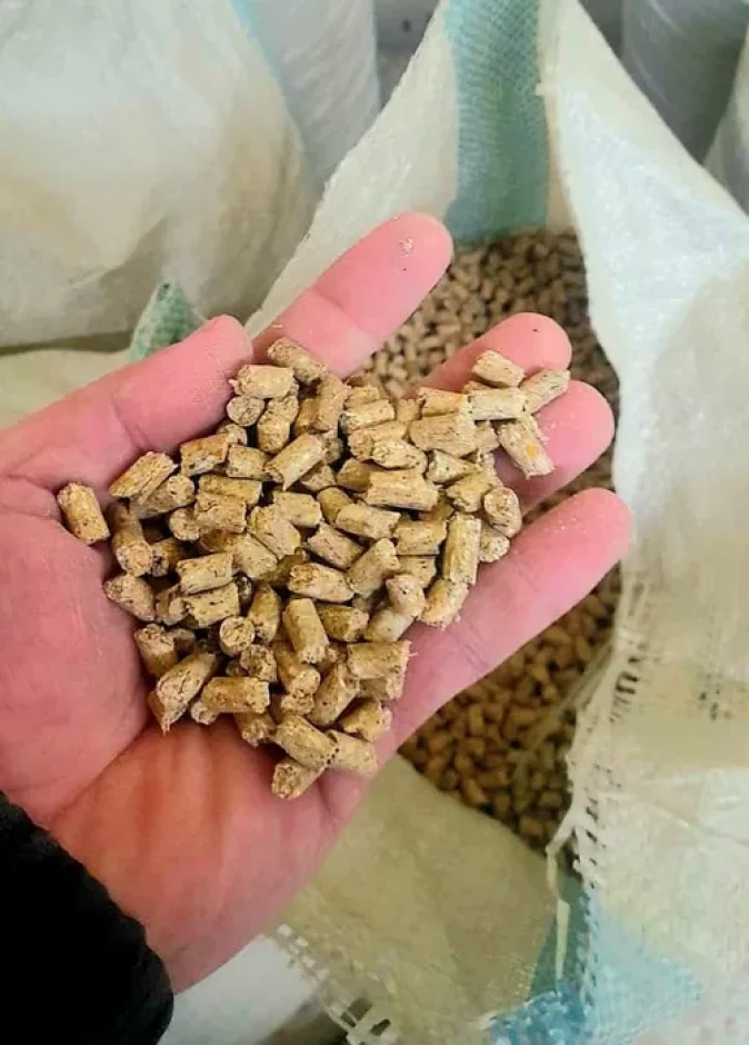 Compound feed #5