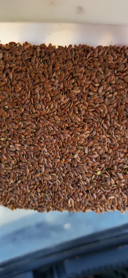 I will sell brown linen 99% purity. #1