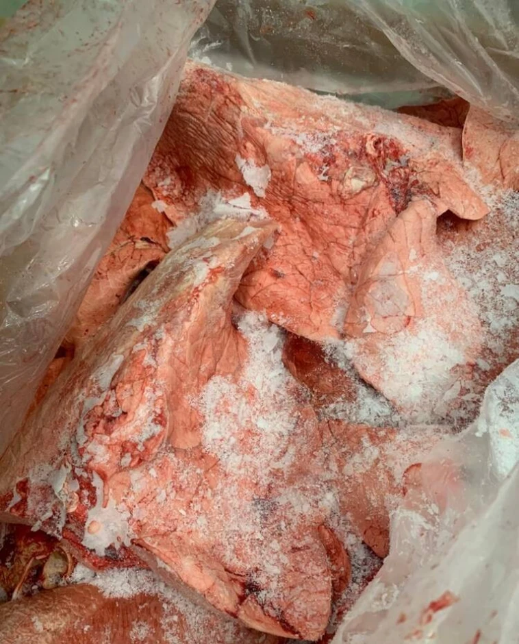 Beef meat, Beef by-products. #7