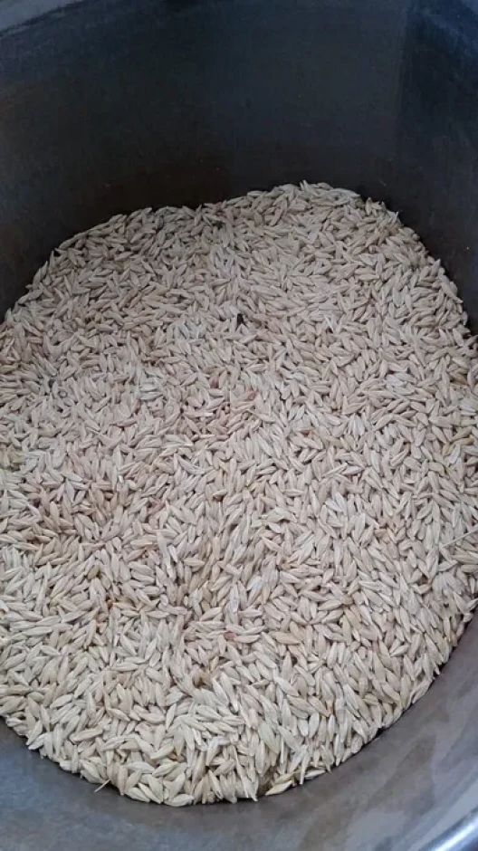 The farm sells barley (self-delivery). #1