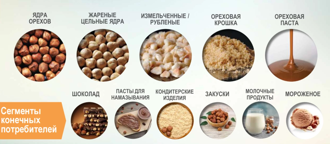 Фундук от производителя ТУРЦИЯ - 4 Фундук от производителя ТУРЦИЯ #4