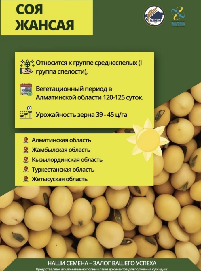Семена сои сорта: Жансая и Айсауле #2