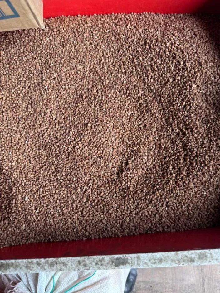 Гречка высшего сорта #1