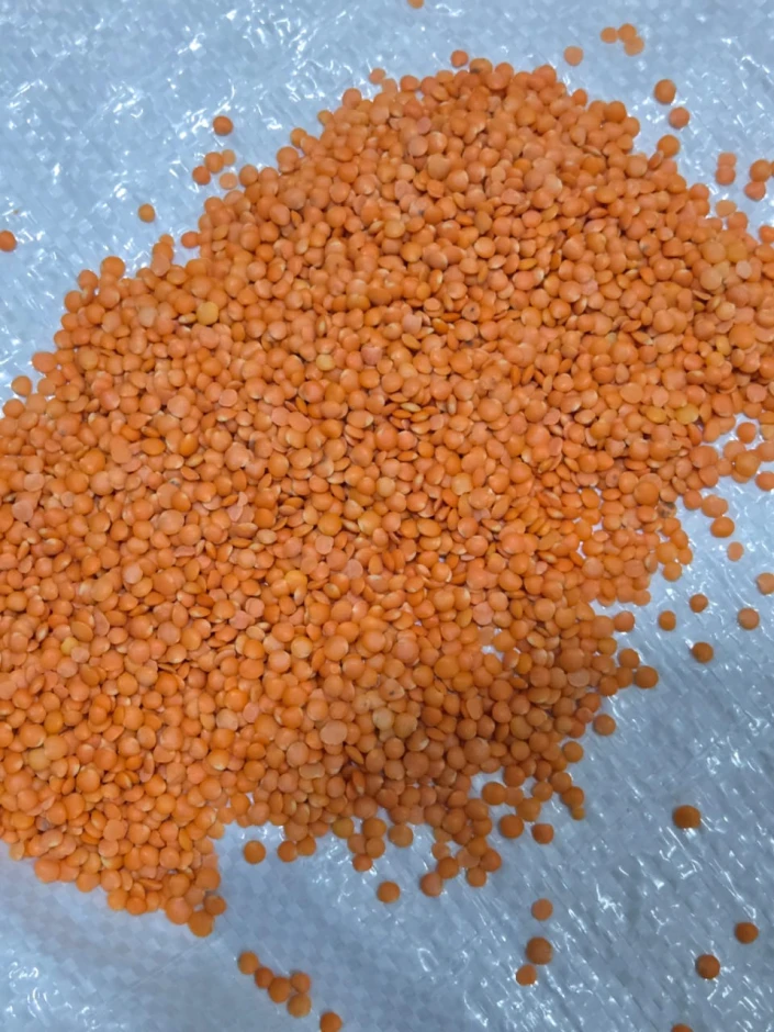 Продам чечевицу шлифованная, колотый горох - 2 Продам чечевицу шлифованная, колотый горох #2