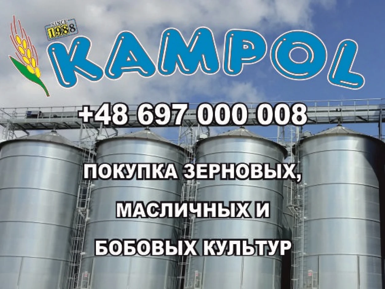 Куплю редьку масличную, сафлор, горчицу #1