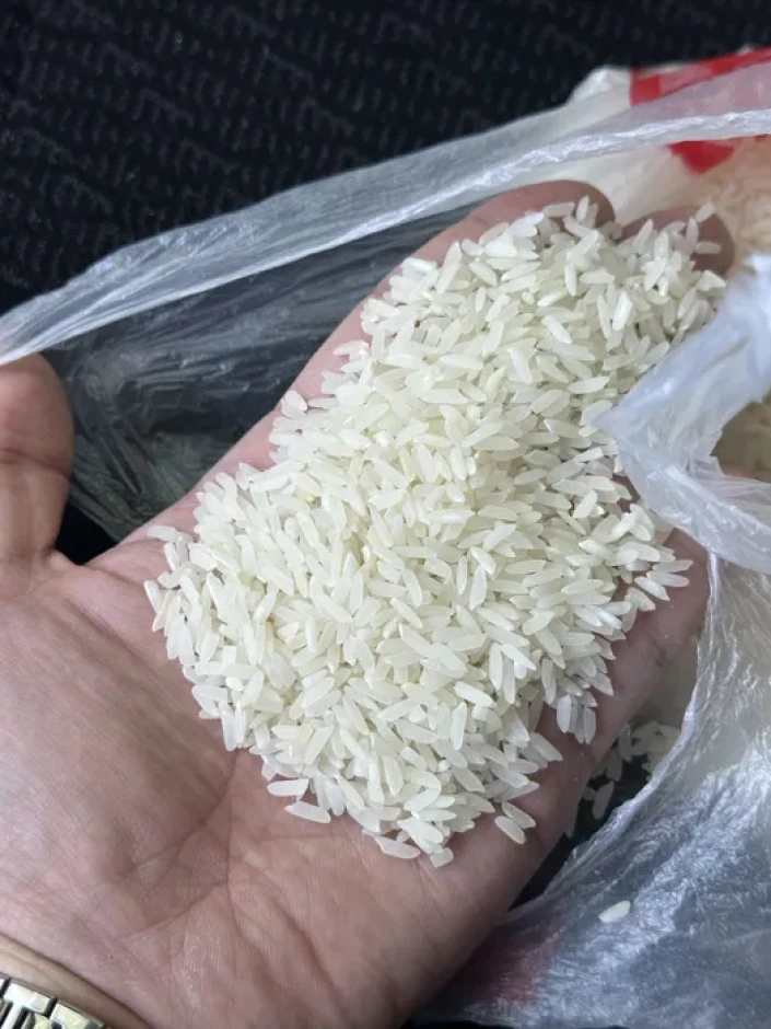 Rice rice variety Laser. #2
