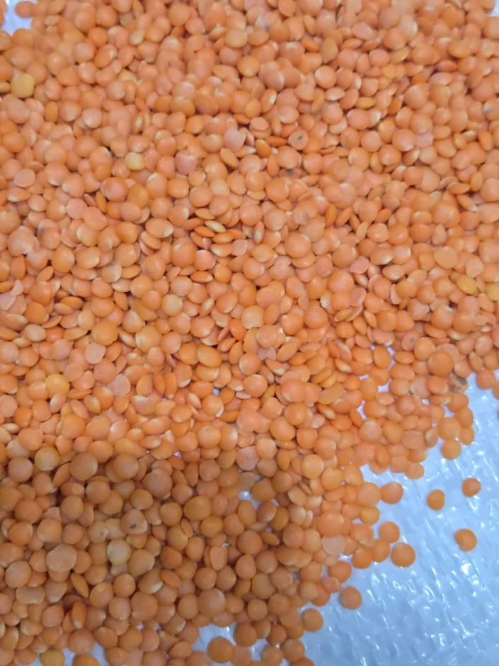 Продам чечевицу шлифованная, колотый горох - 3 Продам чечевицу шлифованная, колотый горох #3