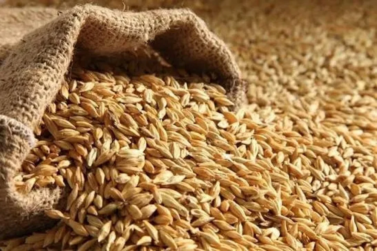 Barley 120tg (1kg) with delivery (there is not much left). #1