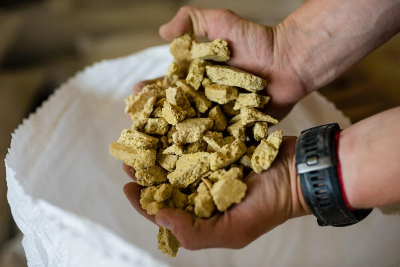 Жмых соевый / Соевый жмых / Соя жмых #1