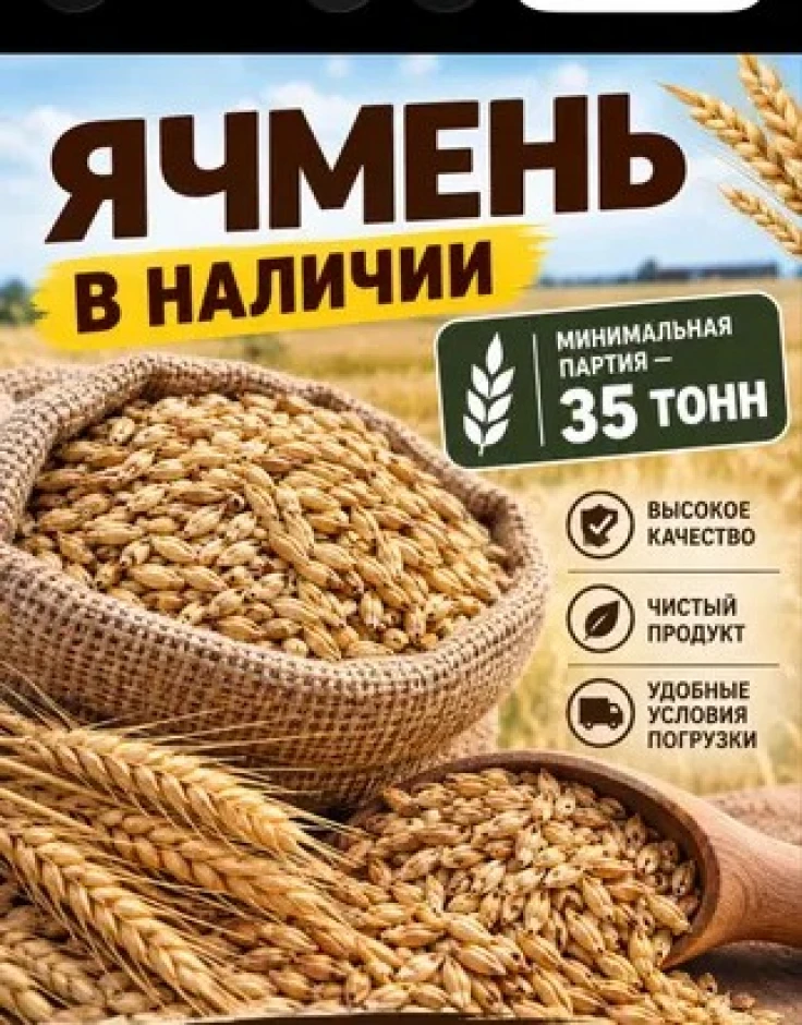 Ячмень хорошего качества - 1 Ячмень хорошего качества #1