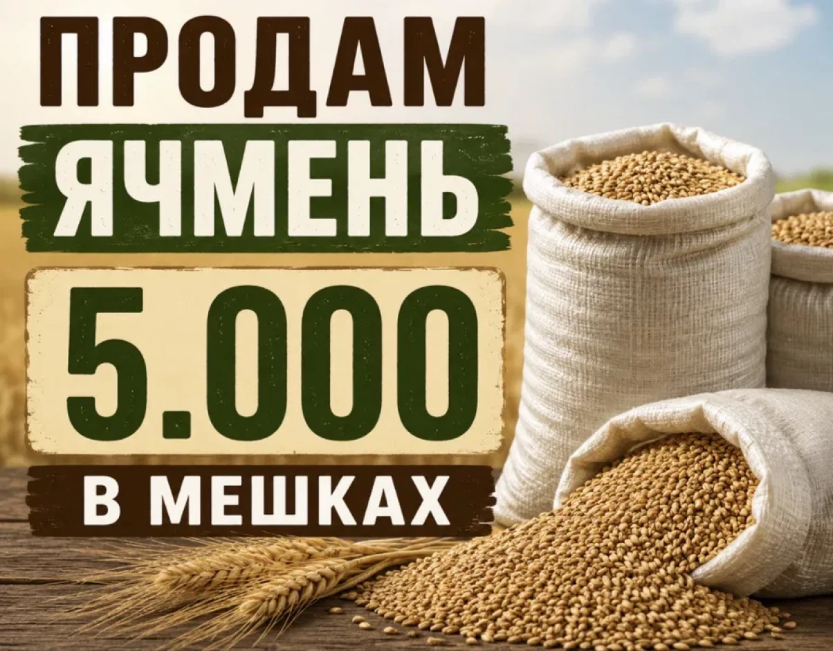 Продам ячмень 5.000 #1