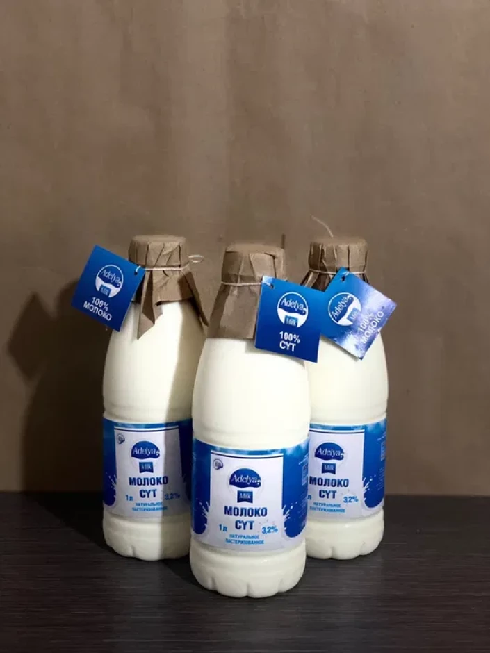Айран Кефир Молоко Сметана Курт и другие молочные продуты оптом - 3 Айран Кефир Молоко Сметана Курт и другие молочные продуты оптом #3