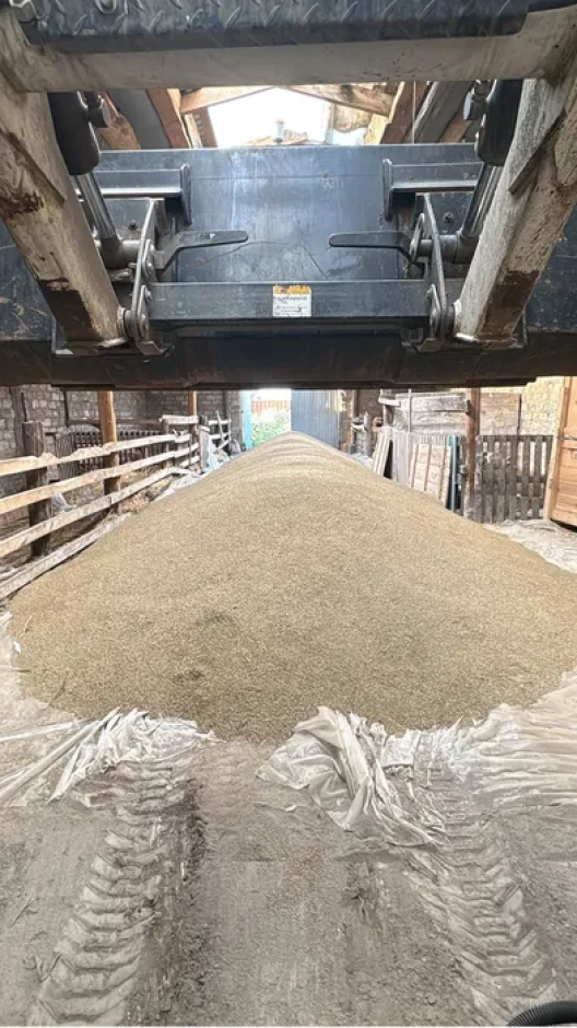 I will sell winter rye. #1