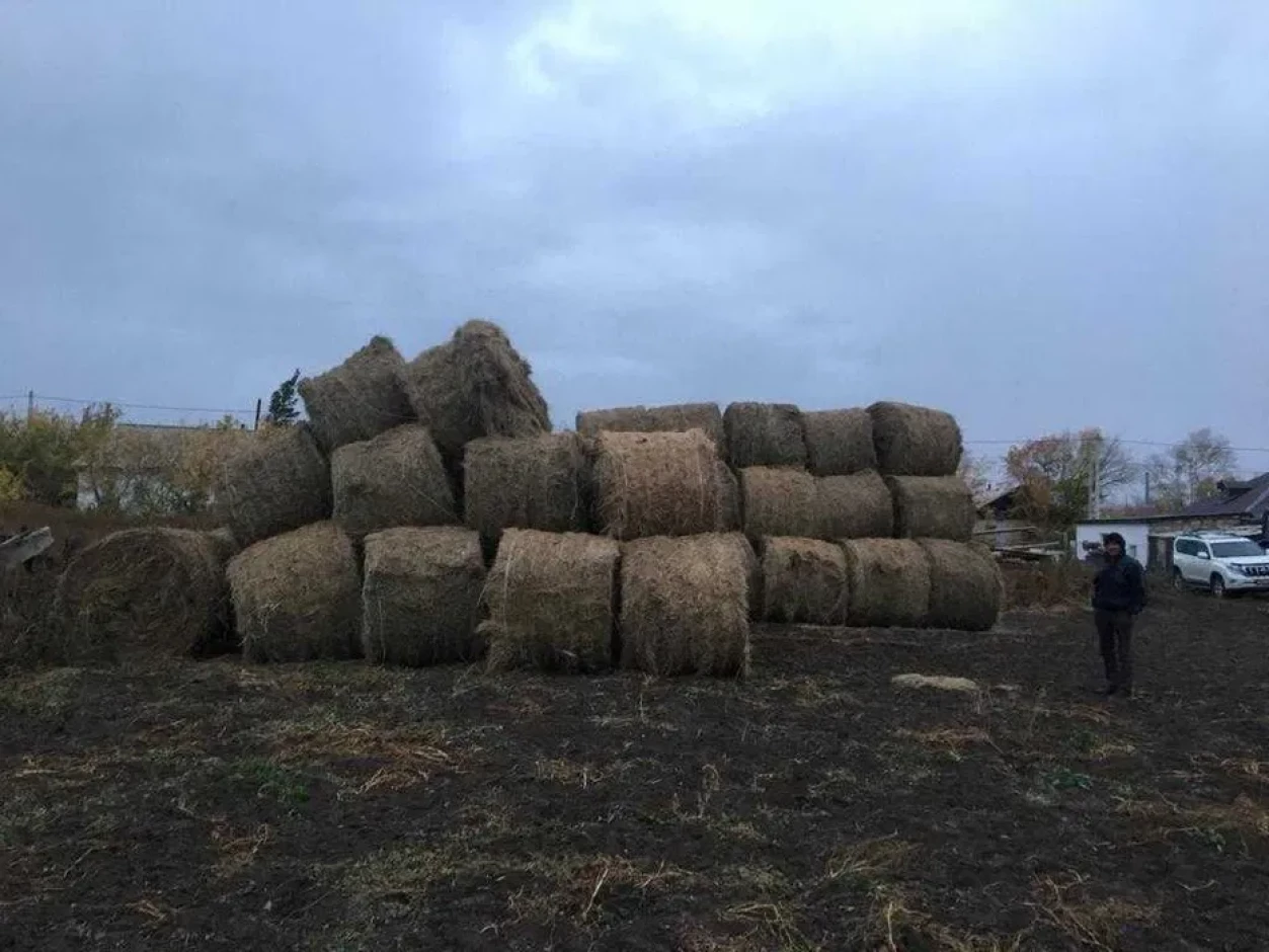 Сено в больших рулонах, 20 тыс тенге. Услуги ТРАКТОРА и УАЗ БУХАНКА. - 2 Сено в больших рулонах, 20 тыс тенге. Услуги ТРАКТОРА и УАЗ БУХАНКА. #2
