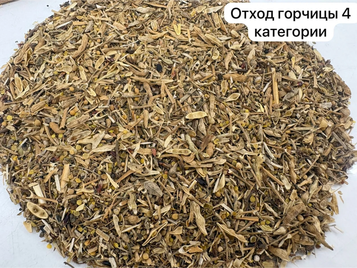 ПРОДАЕМ ОТХОДЫ ЧЕЧЕВИЦЫ И ГОРЧИЦЫ #5