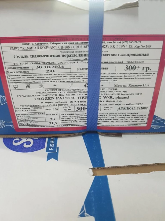 Продается сельдь 300+ в коробке 20 кг (Тихоокеанская, Россия) - 1 Продается сельдь 300+ в коробке 20 кг (Тихоокеанская, Россия) #1